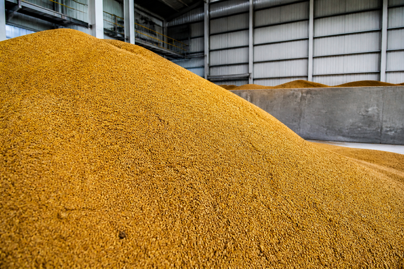 golden DDGS dried distillers grains product
