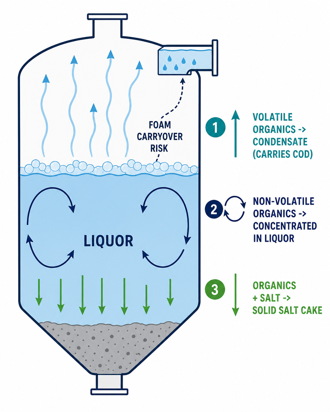 How organic molecules distribute between condensate, concentrate and salt